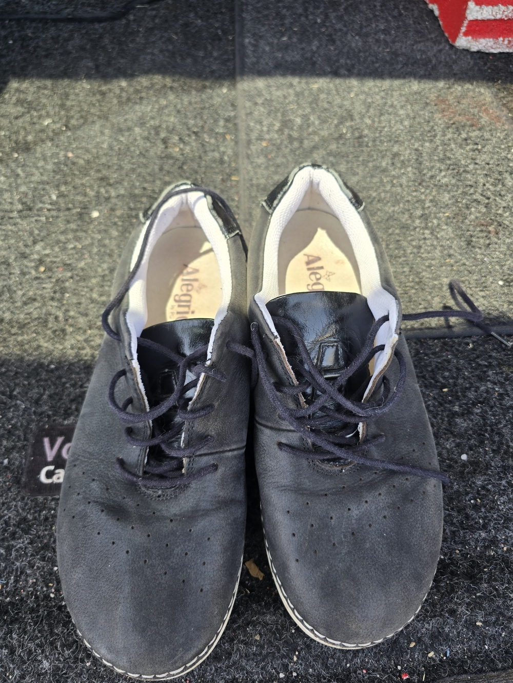 Alegria‎ Navy Suede Lace-Up Sneakers